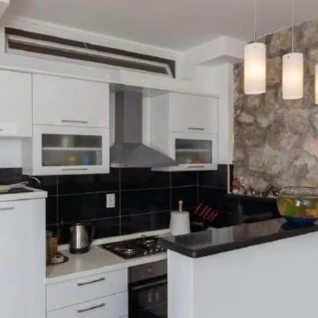 Aquarium Duplex - Duplex Two-bedroom With Terrace Apartment *