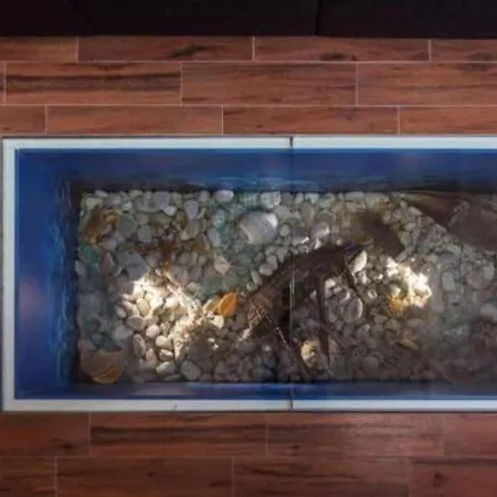Aquarium Duplex - Duplex Two-bedroom With Terrace Apartment